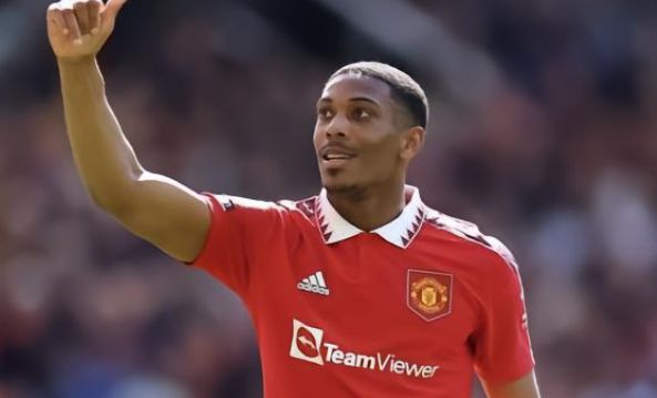 冉冉升起的 冉冉升起的